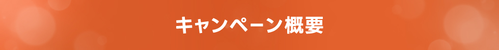 キャンペーン概要