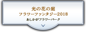 光の花の庭 フラワーファンタジー2018 あしかがフラワーパーク
