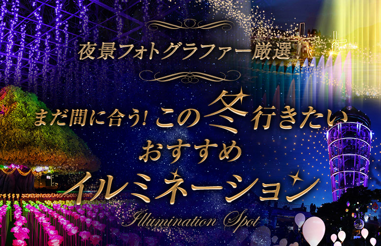 まだ間に合う！この冬行きたいおすすめイルミネーション