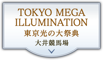 TOKYO MEGA ILLUMINATION 東京光の大祭典 大井競馬場