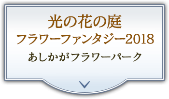 光の花の庭 フラワーファンタジー2018 あしかがフラワーパーク