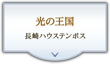 光の王国 長崎ハウステンボス