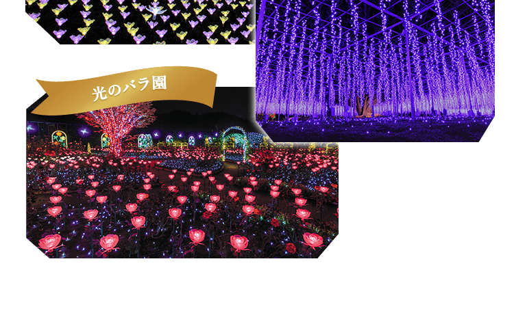奇蹟の大藤
