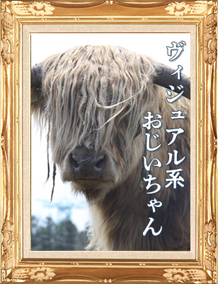 テディ