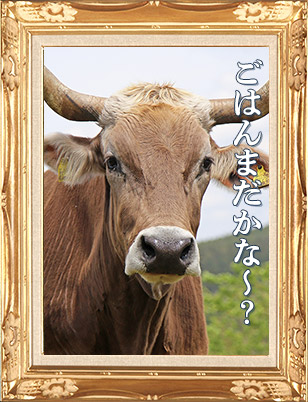 ジャンボ