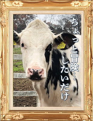 ホワイトストン
