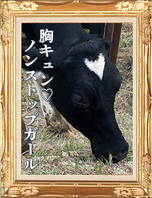 シュシュ