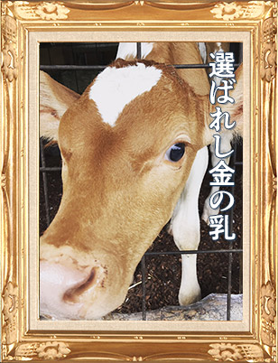 ミュウ