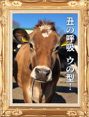 ウォッチ