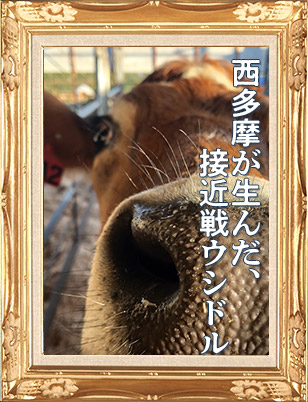 ティラミー
