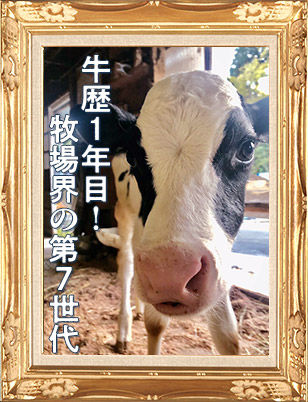アシュリン