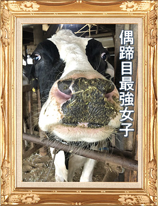 サニー