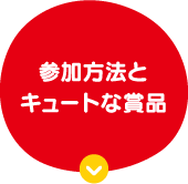 参加方法とキュートな賞品