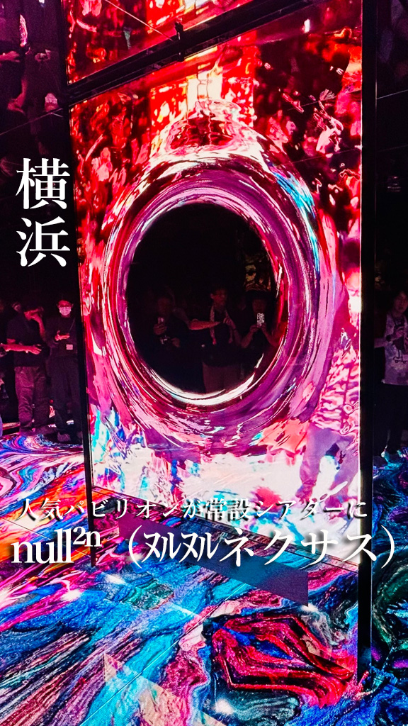null²ⁿ